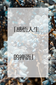 感悟人生的禅语