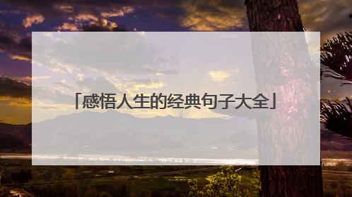 感悟人生的经典句子大全