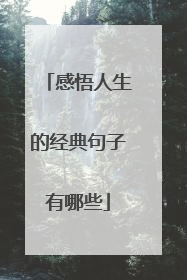 感悟人生的经典句子有哪些