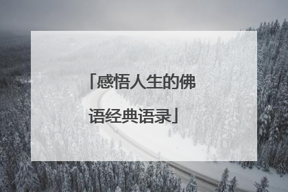 感悟人生的佛语经典语录