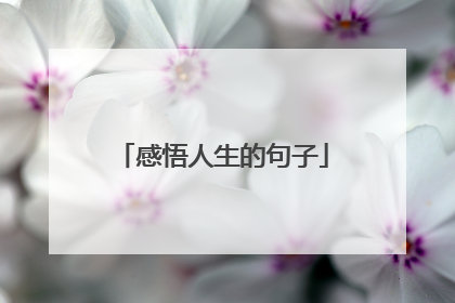 感悟人生的句子