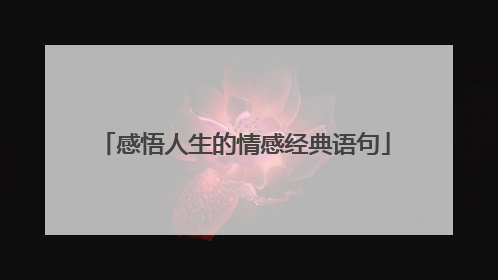 感悟人生的情感经典语句