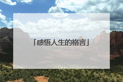 感悟人生的格言