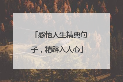 感悟人生精典句子，精辟入人心