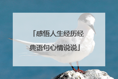 感悟人生经历经典语句心情说说
