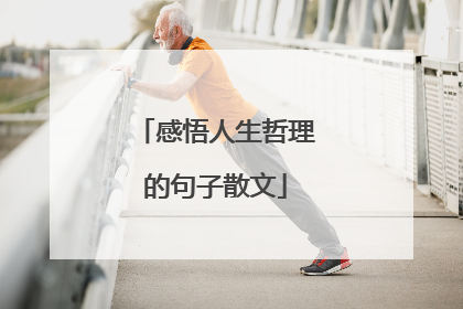 感悟人生哲理的句子散文