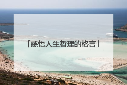 感悟人生哲理的格言