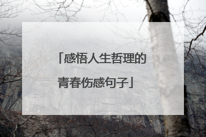 感悟人生哲理的青春伤感句子