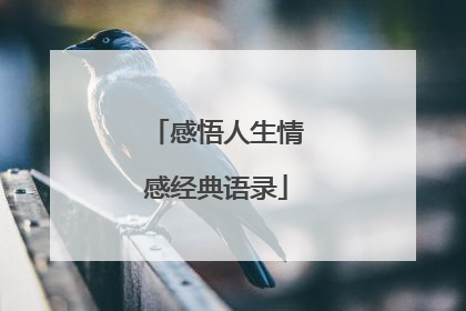感悟人生情感经典语录