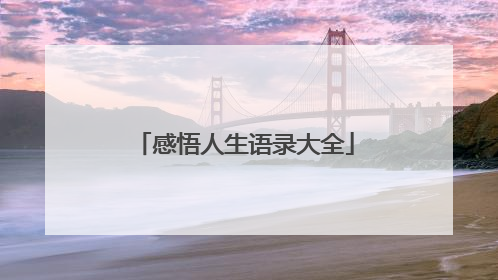 感悟人生语录大全
