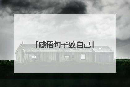 感悟句子致自己