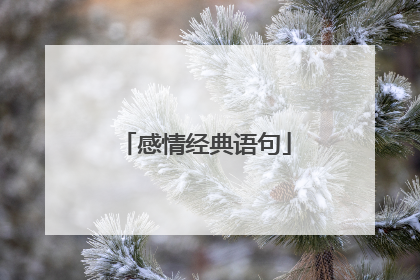 感情经典语句