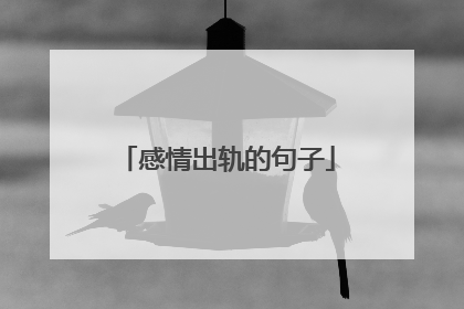 感情出轨的句子