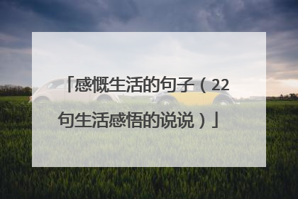 感慨生活的句子(22句生活感悟的说说)