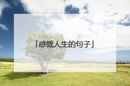 感慨人生的句子