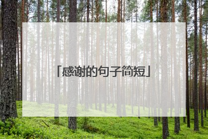 感谢的句子简短