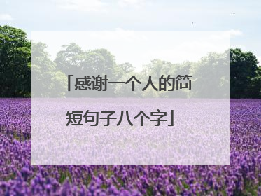 感谢一个人的简短句子八个字