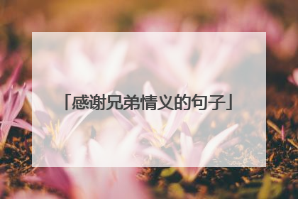 感谢兄弟情义的句子