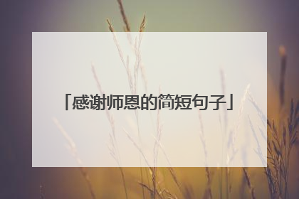 感谢师恩的简短句子