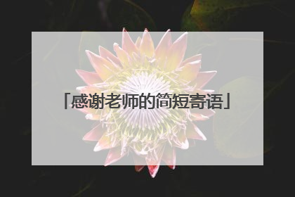 感谢老师的简短寄语
