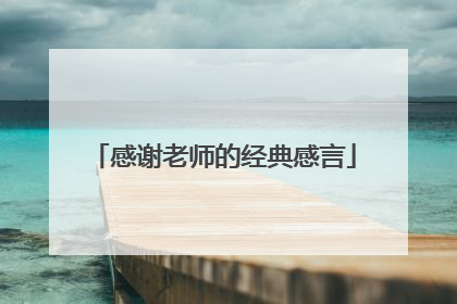 感谢老师的经典感言