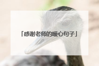 感谢老师的暖心句子