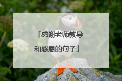 感谢老师教导和感恩的句子