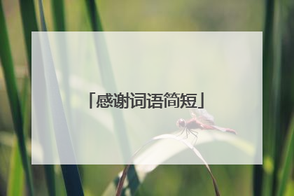 感谢词语简短