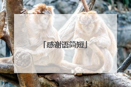 感谢语简短
