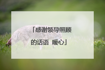 感谢领导照顾的话语 暖心