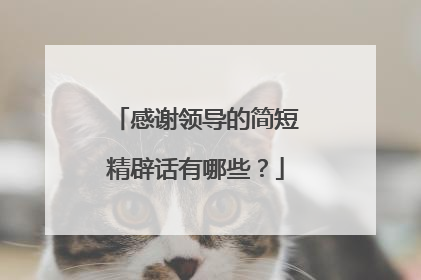 感谢领导的简短精辟话有哪些？