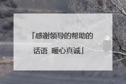 感谢领导的帮助的话语 暖心真诚