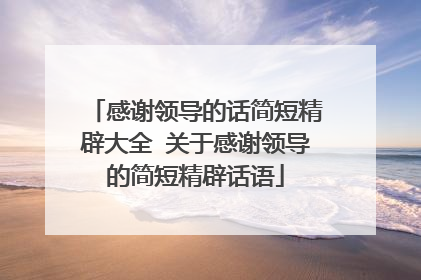 感谢领导的话简短精辟大全 关于感谢领导的简短精辟话语