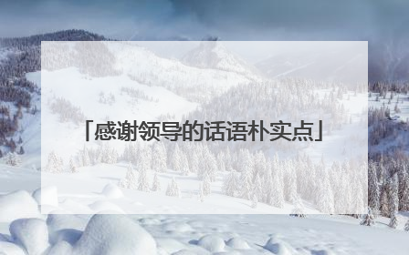 感谢领导的话语朴实点