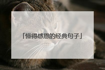 懂得感恩的经典句子