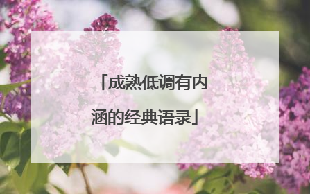 成熟低调有内涵的经典语录