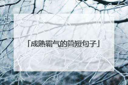 成熟霸气的简短句子