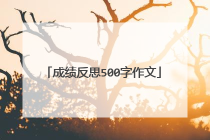 成绩反思500字作文