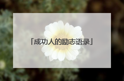 成功人的励志语录