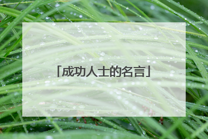 成功人士的名言