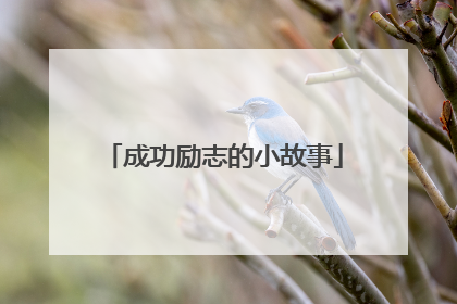 成功励志的小故事