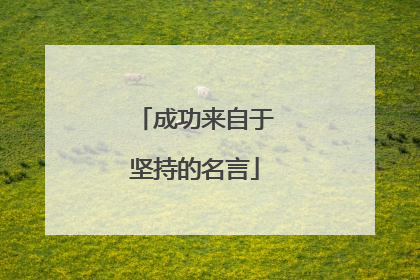 成功来自于坚持的名言