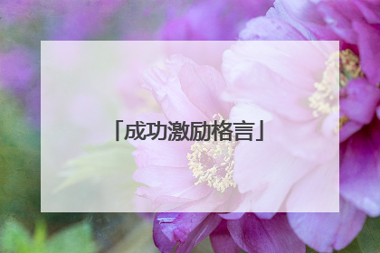 成功激励格言