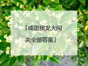 成语接龙大闯关全部答案