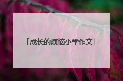 成长的烦恼小学作文