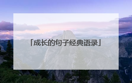 成长的句子经典语录