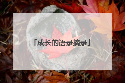 成长的语录摘录