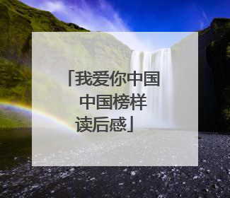 我爱你中国――中国榜样读后感