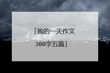 我的一天作文300字五篇