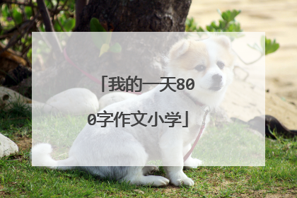 我的一天800字作文小学